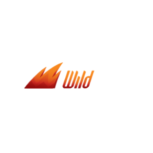 WildSlots 500x500_white